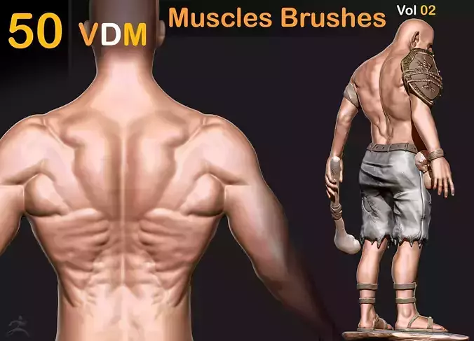 50 VDM Muscles Brushes   Vol 02 3D model
