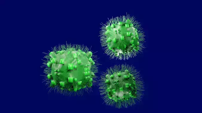 An Ordinary Virus Low-poly 3D model