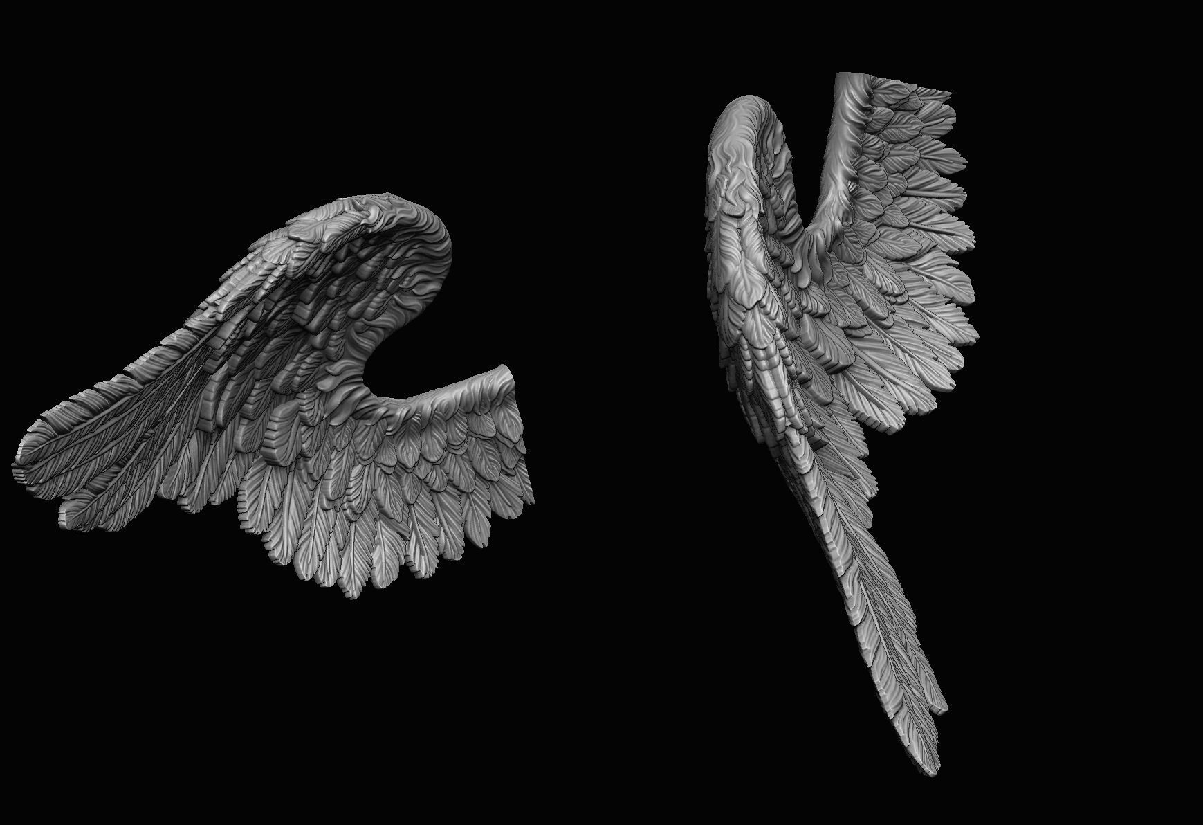 Wings  Printable 7 3D print model_2