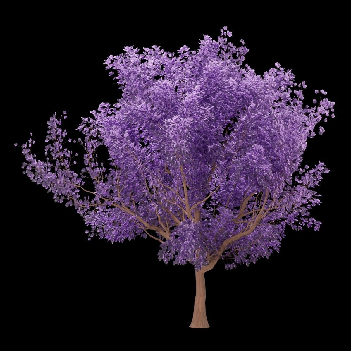 collection cherry tree vol 5 3D model_2