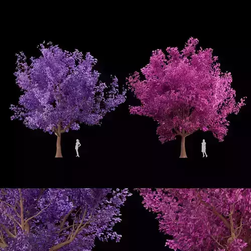 collection cherry tree vol 5 3D model