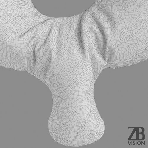 Dollar Balloon 3D model_9