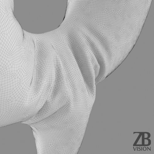 Dollar Balloon 3D model_10