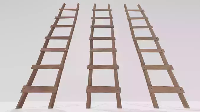 Wooden Ladder 2 and Variations Low-poly 3D model