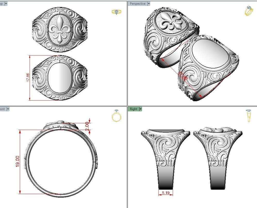 Royal lily ring Heraldic 3D print model_3