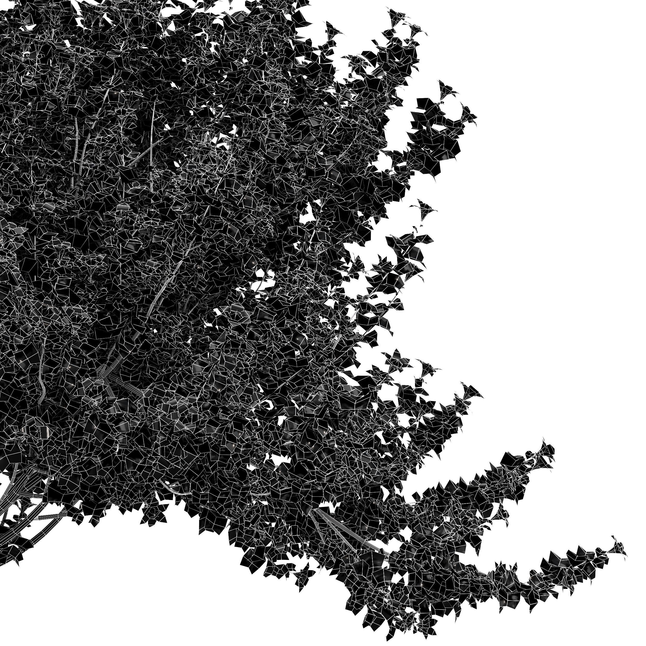 Orchid 2 Trees Fragrant Flower 3D model_4