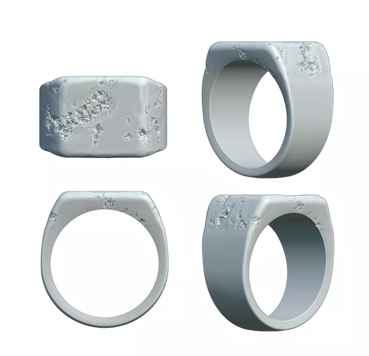 Damage wide signet 3D print model