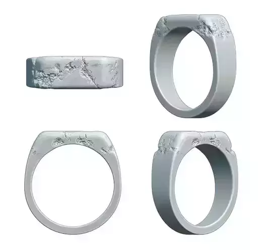 Damage thin signet  3D print model