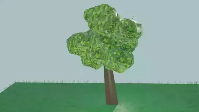 An Ordinary Tree
