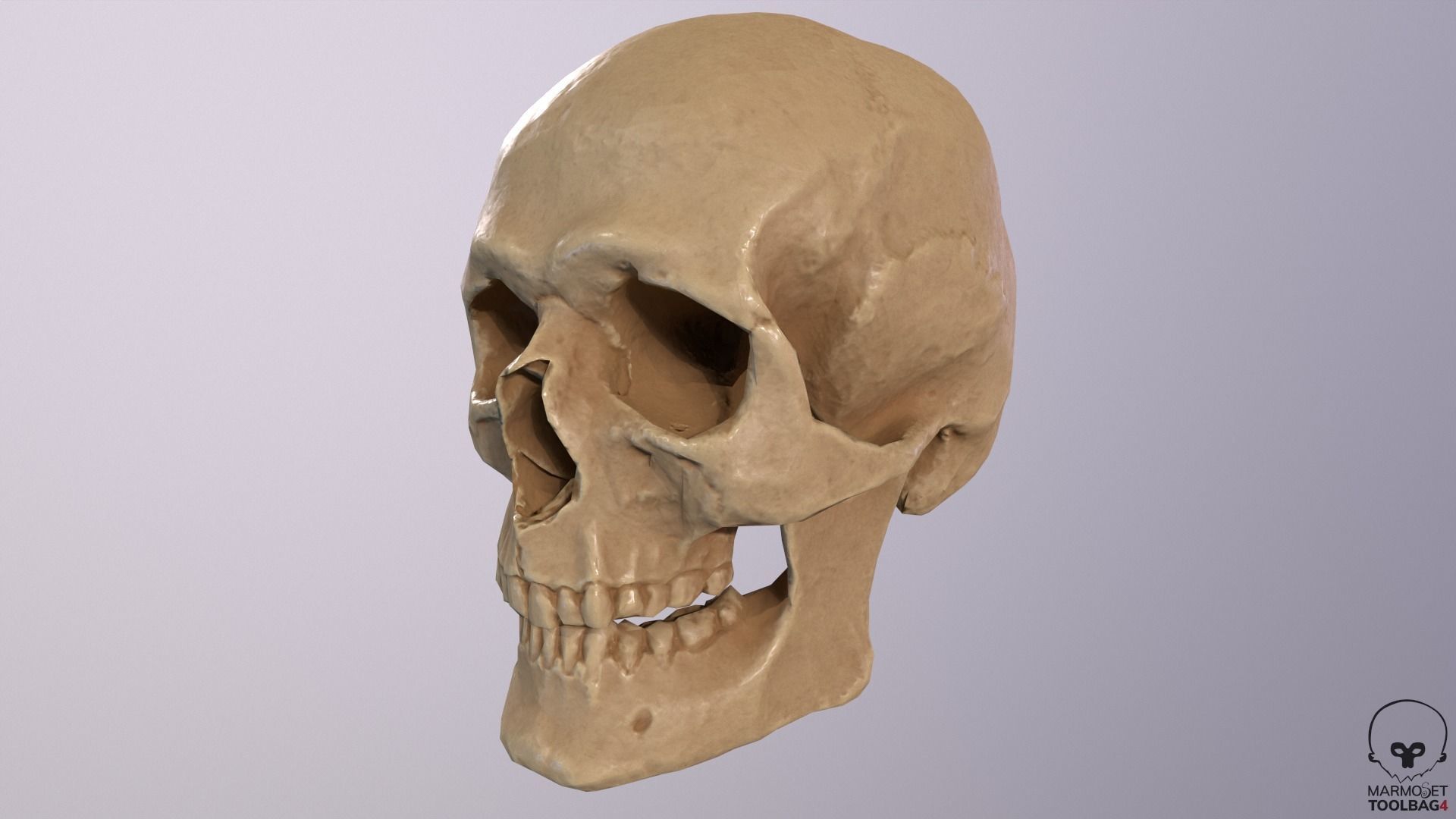 Low Poly Old Skull Low-poly 3D model_2