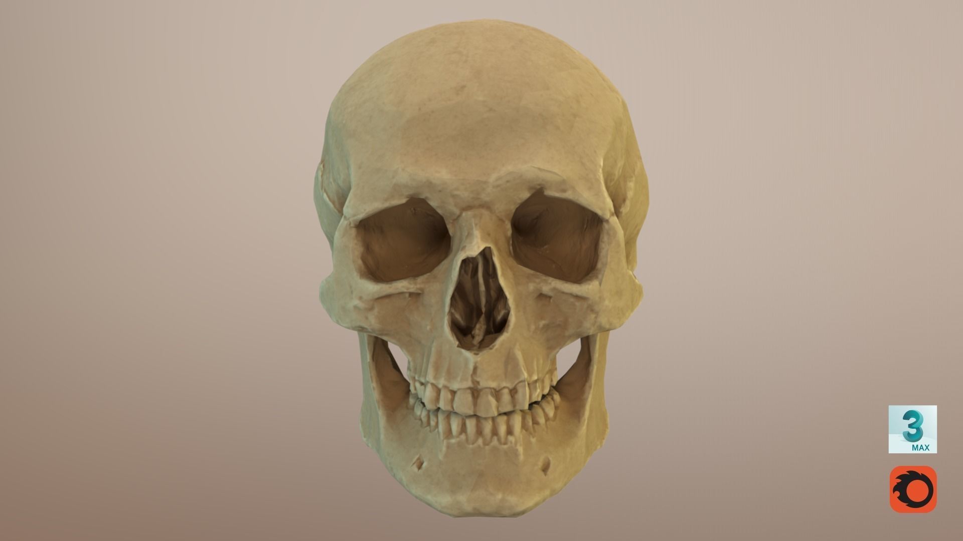 Low Poly Old Skull Low-poly 3D model_11