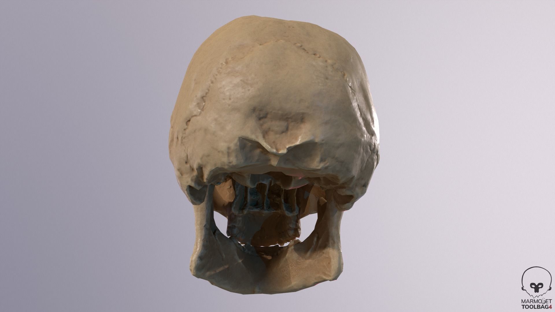 Low Poly Old Skull Low-poly 3D model_4