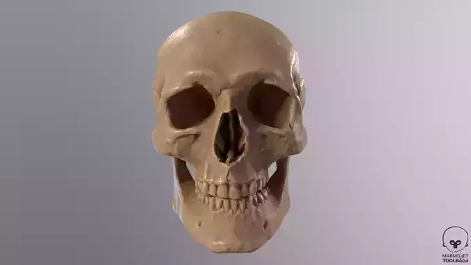 Low Poly Old Skull