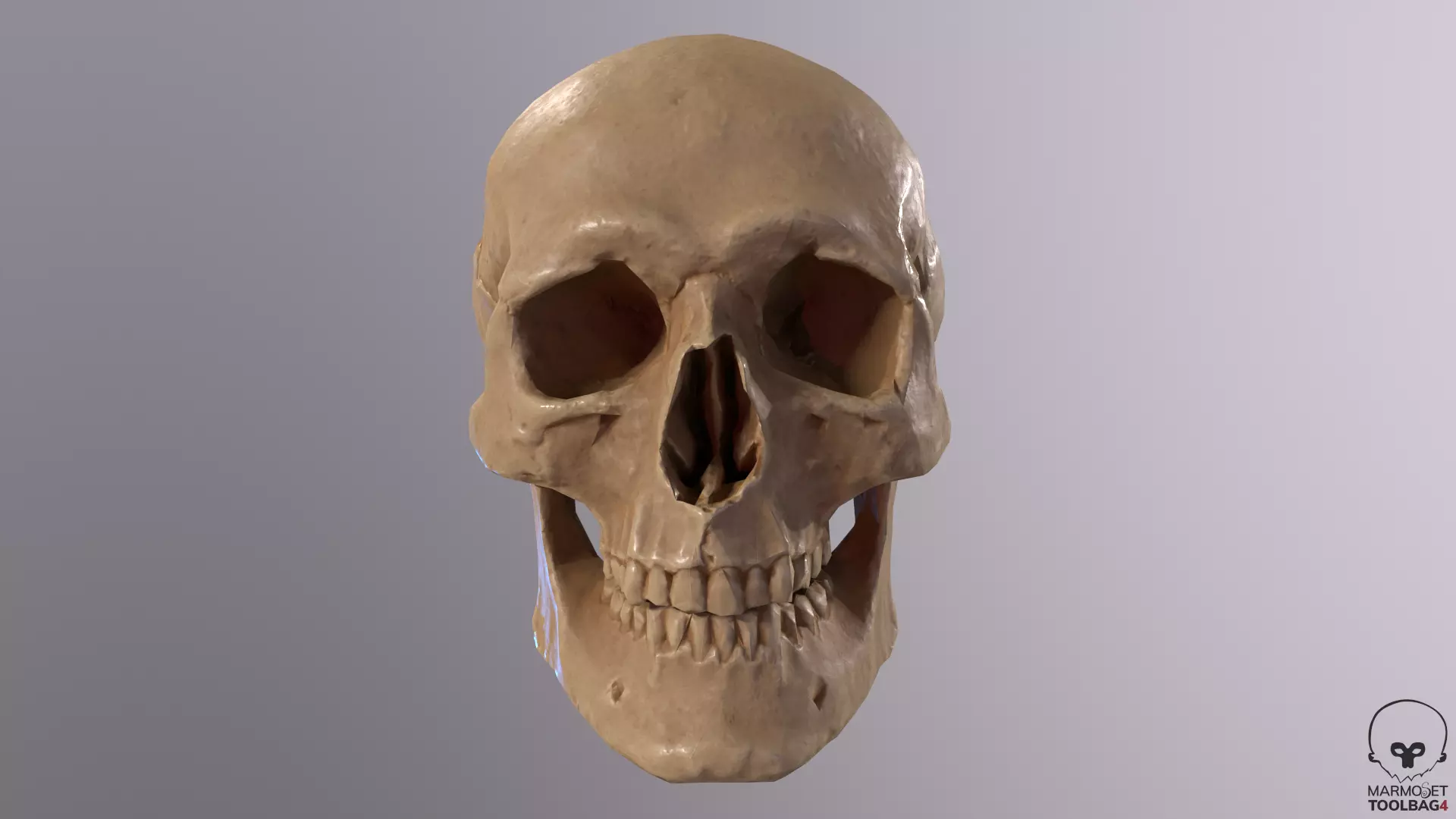 Low Poly Old Skull Low-poly 3D model_0
