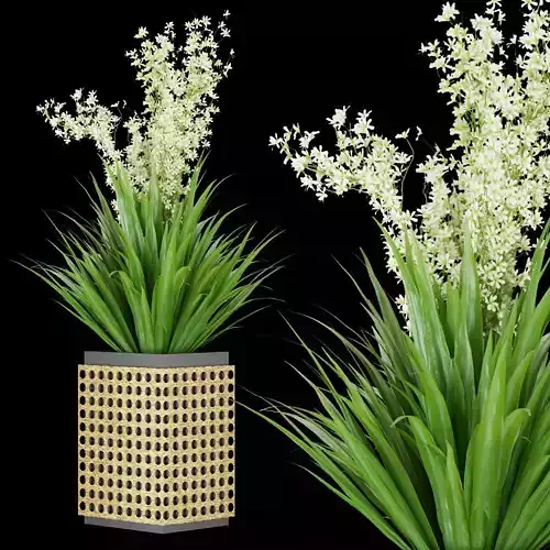 Collection plant vol 181