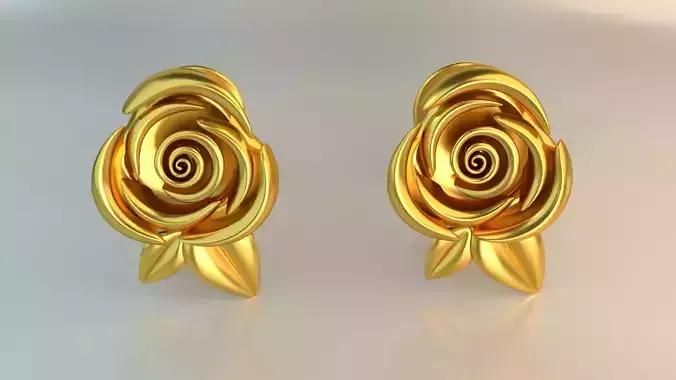 Ear Rings