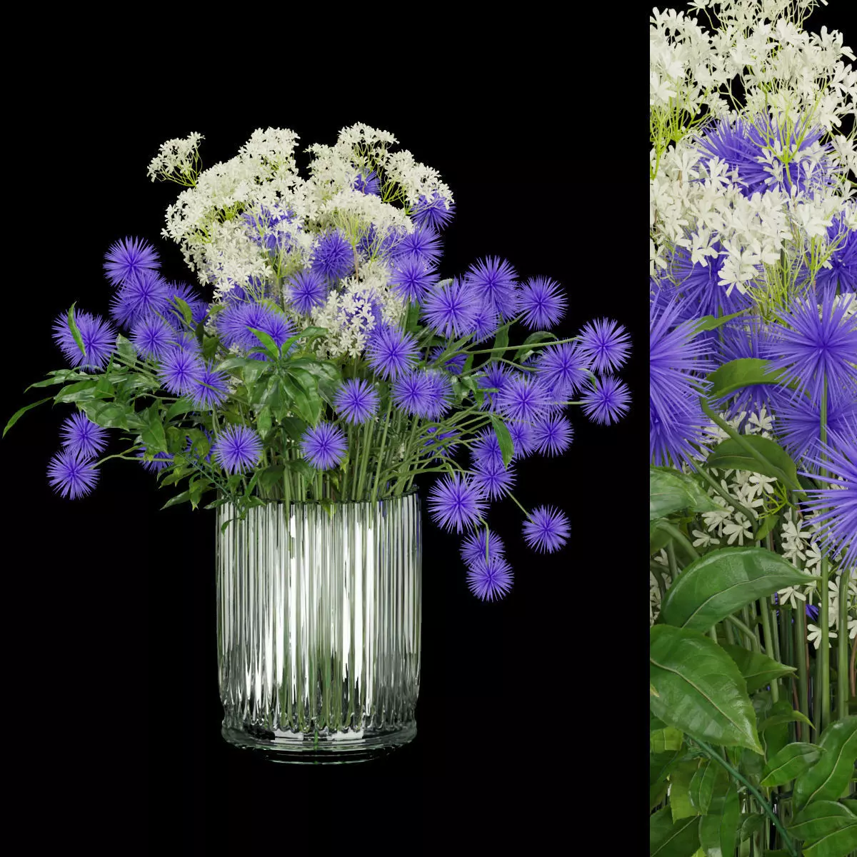 Collection plant vol 185 3D model