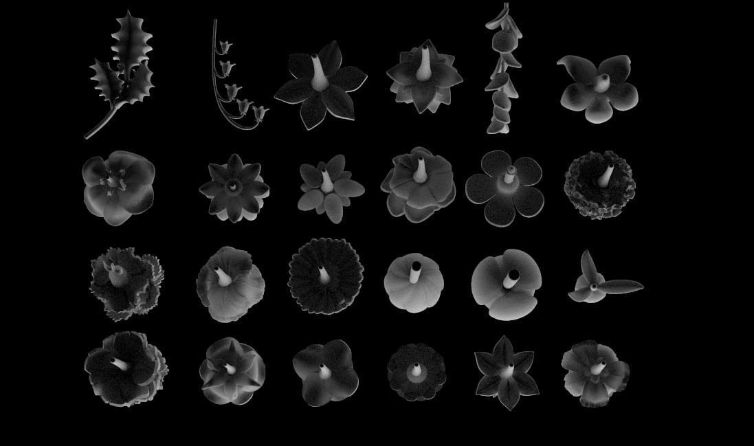 flowers 3D print model_19