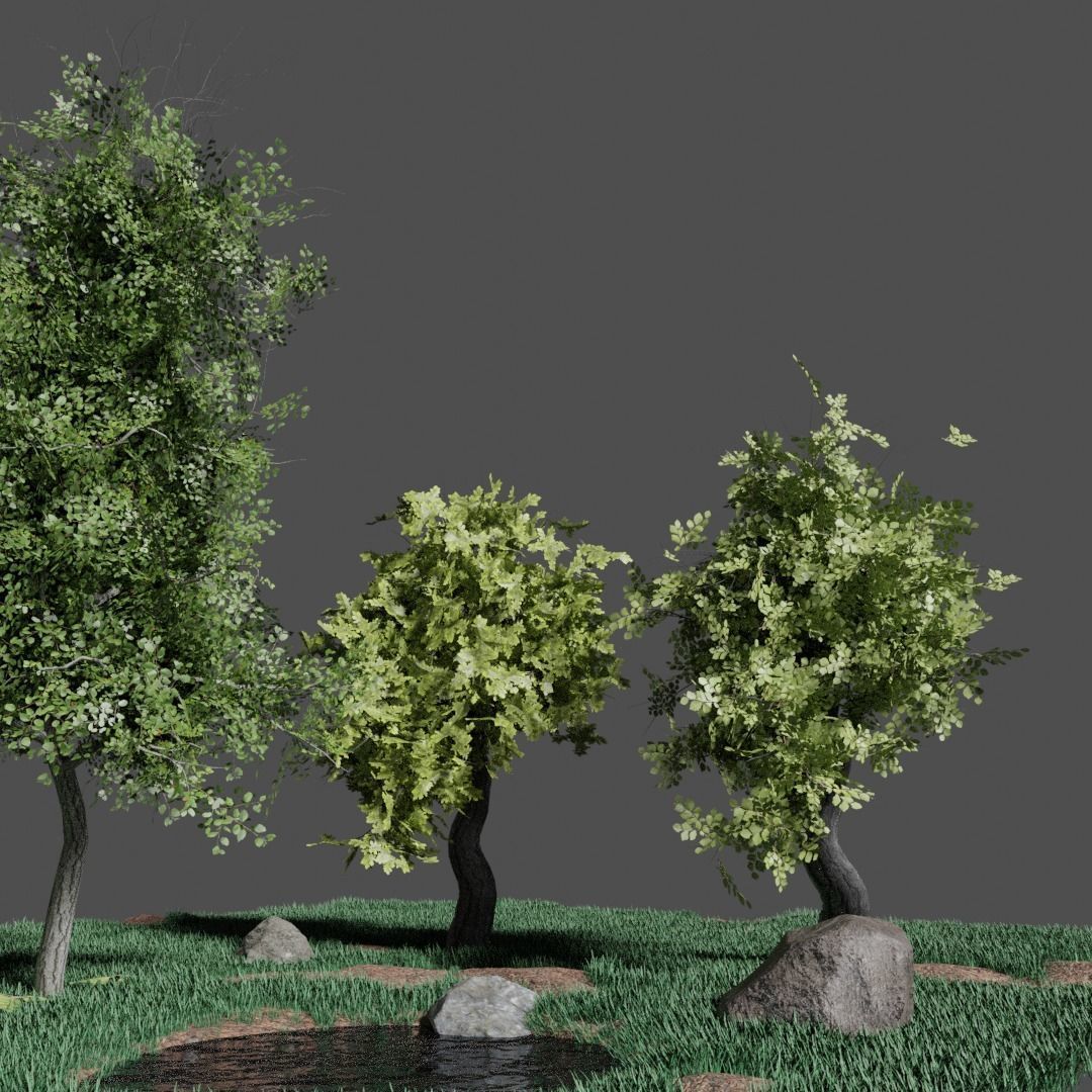 Forest Pack Free 3D model_1