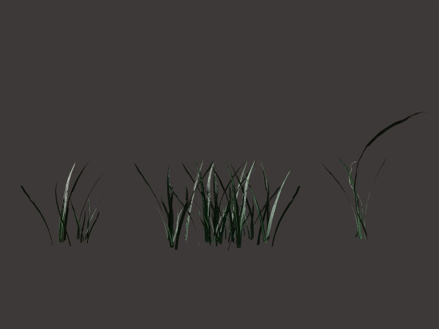 Forest Pack Free 3D model_3