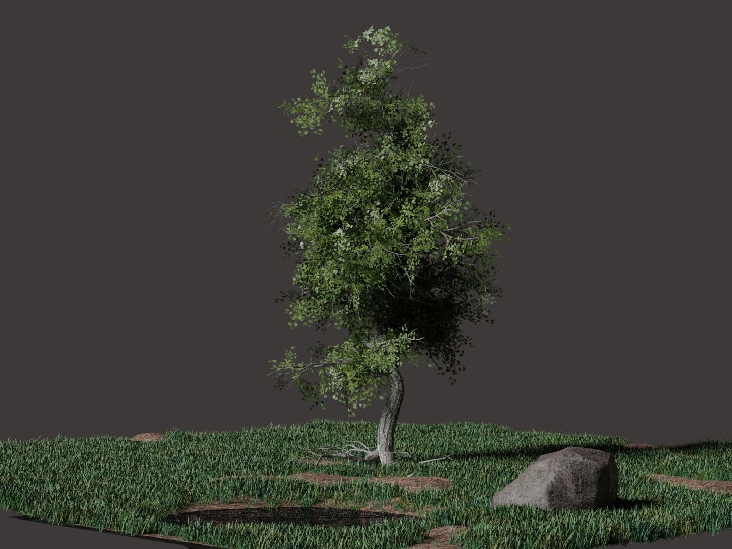 Forest Pack Free 3D model_6