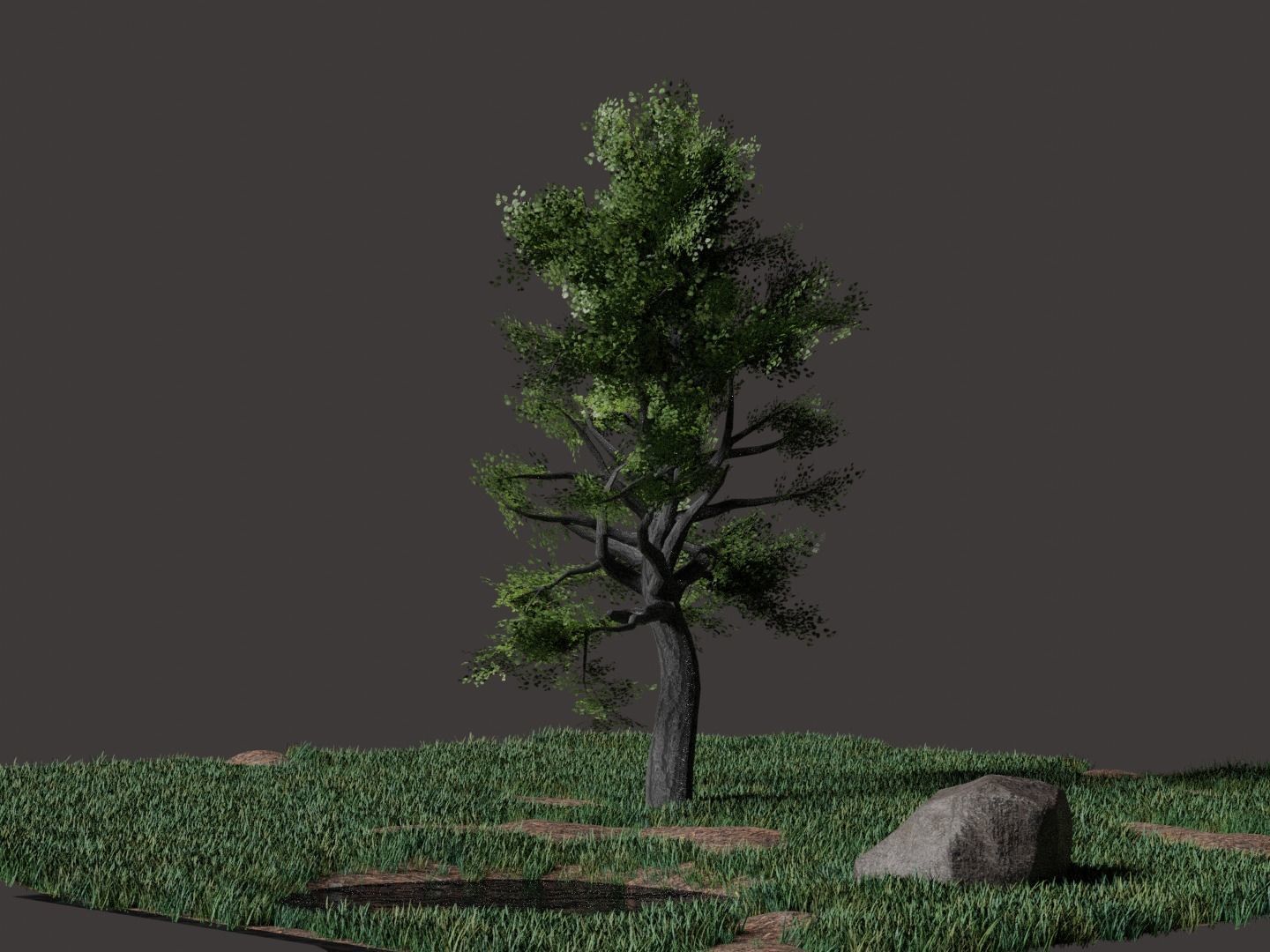 Forest Pack Free 3D model_7