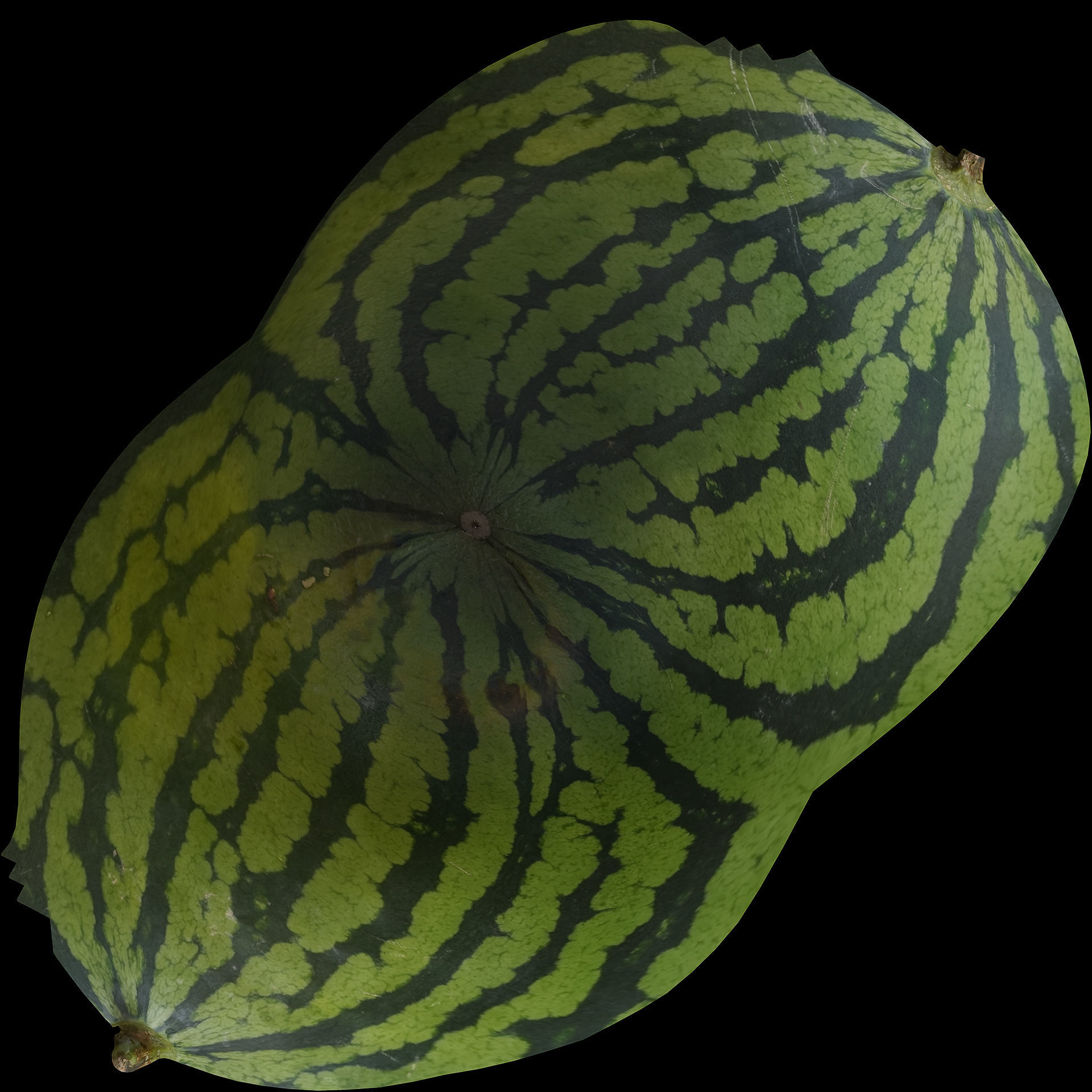 Watermelon Collection 3D model_19