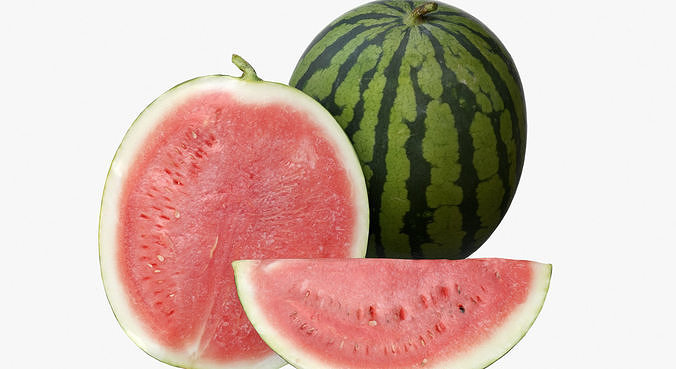 Watermelon Collection 3D model