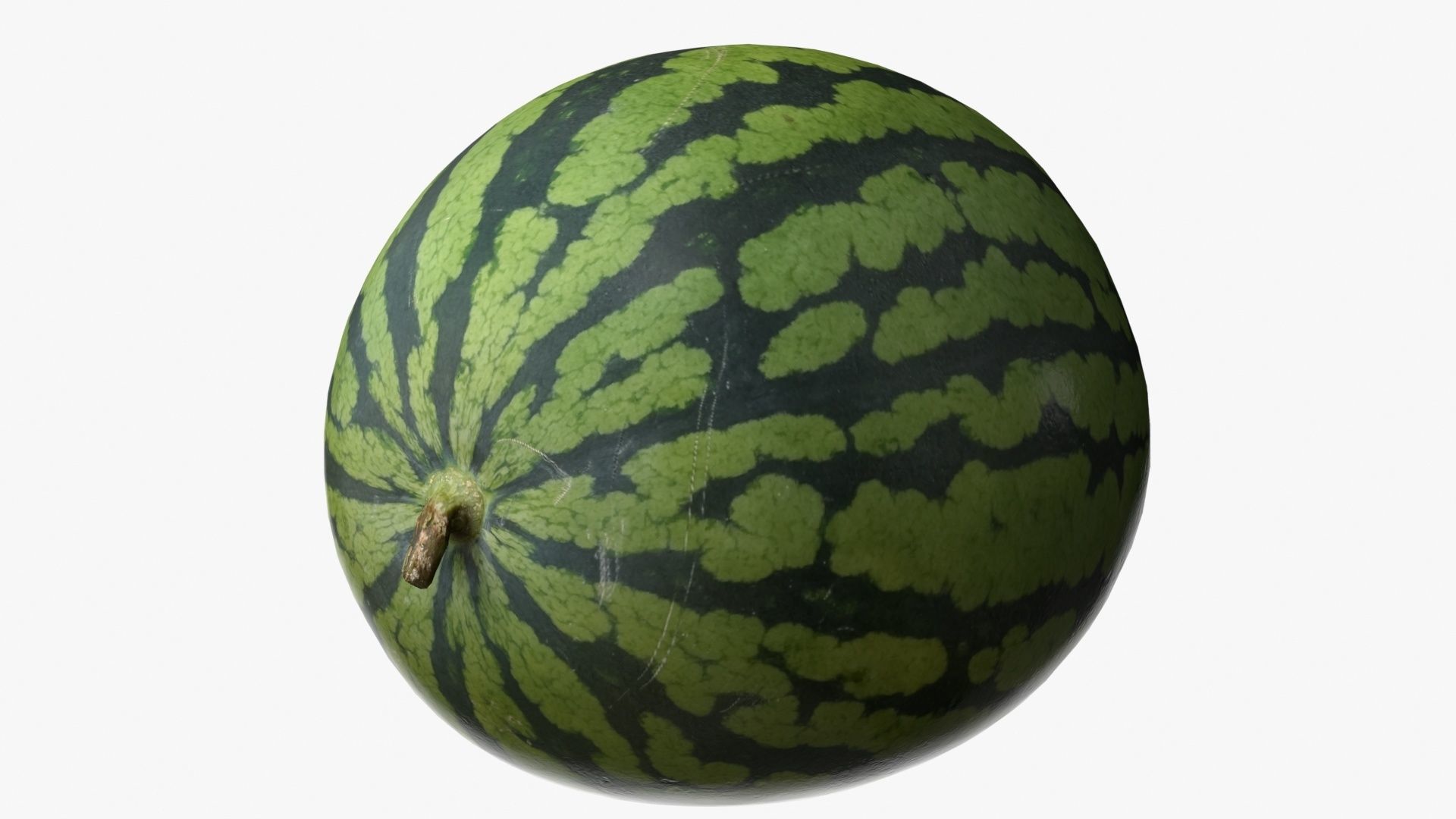 Watermelon Collection 3D model_12