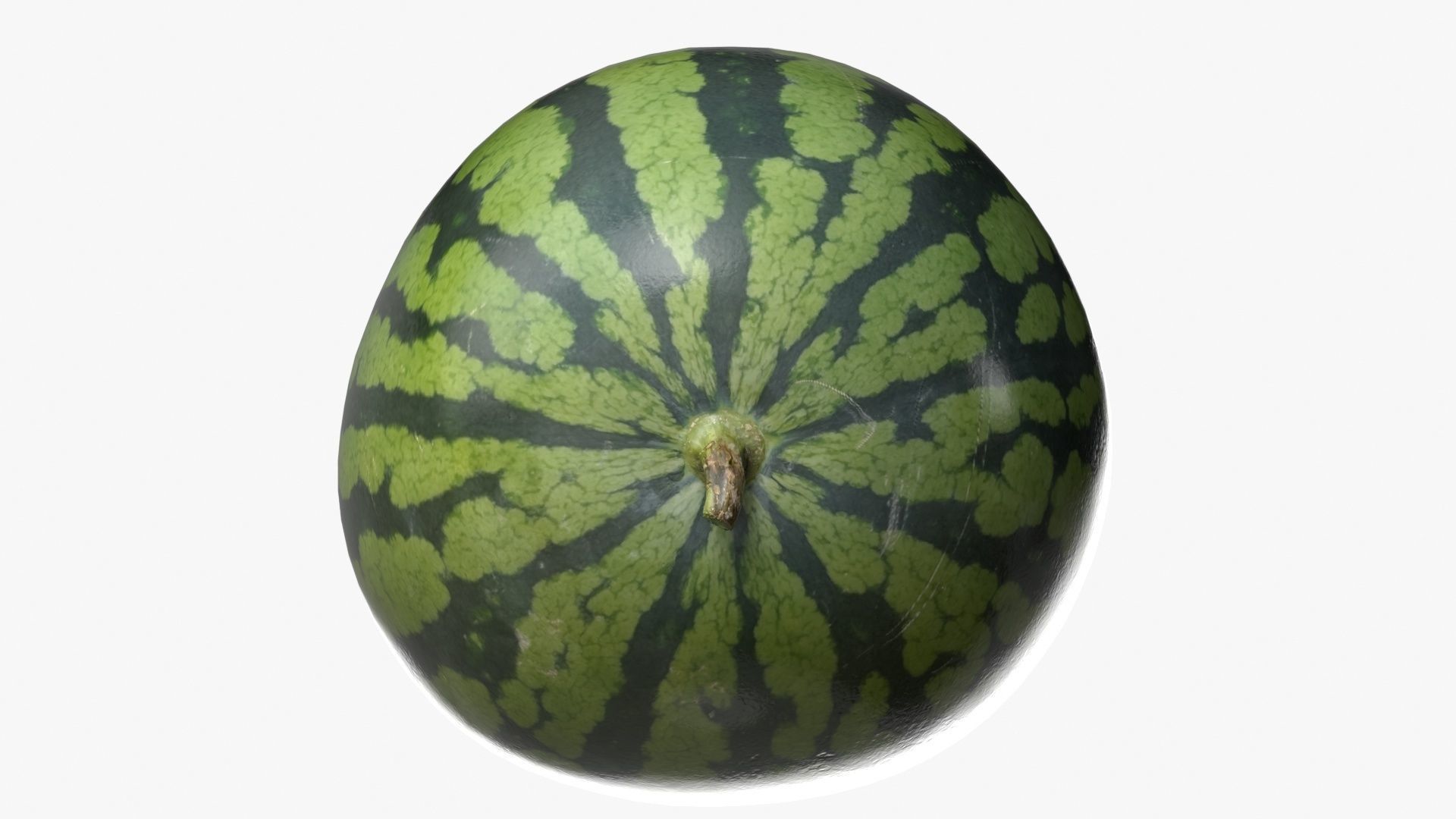 Watermelon Collection 3D model_10