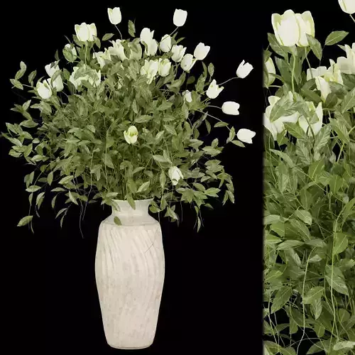 Collection plant vol 186