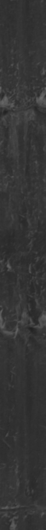 Maxtree pine tree Low-poly 3D model_12