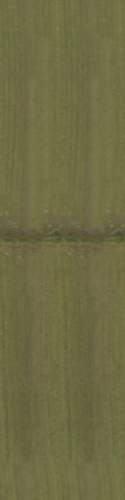 Maxtree pine tree Low-poly 3D model_48