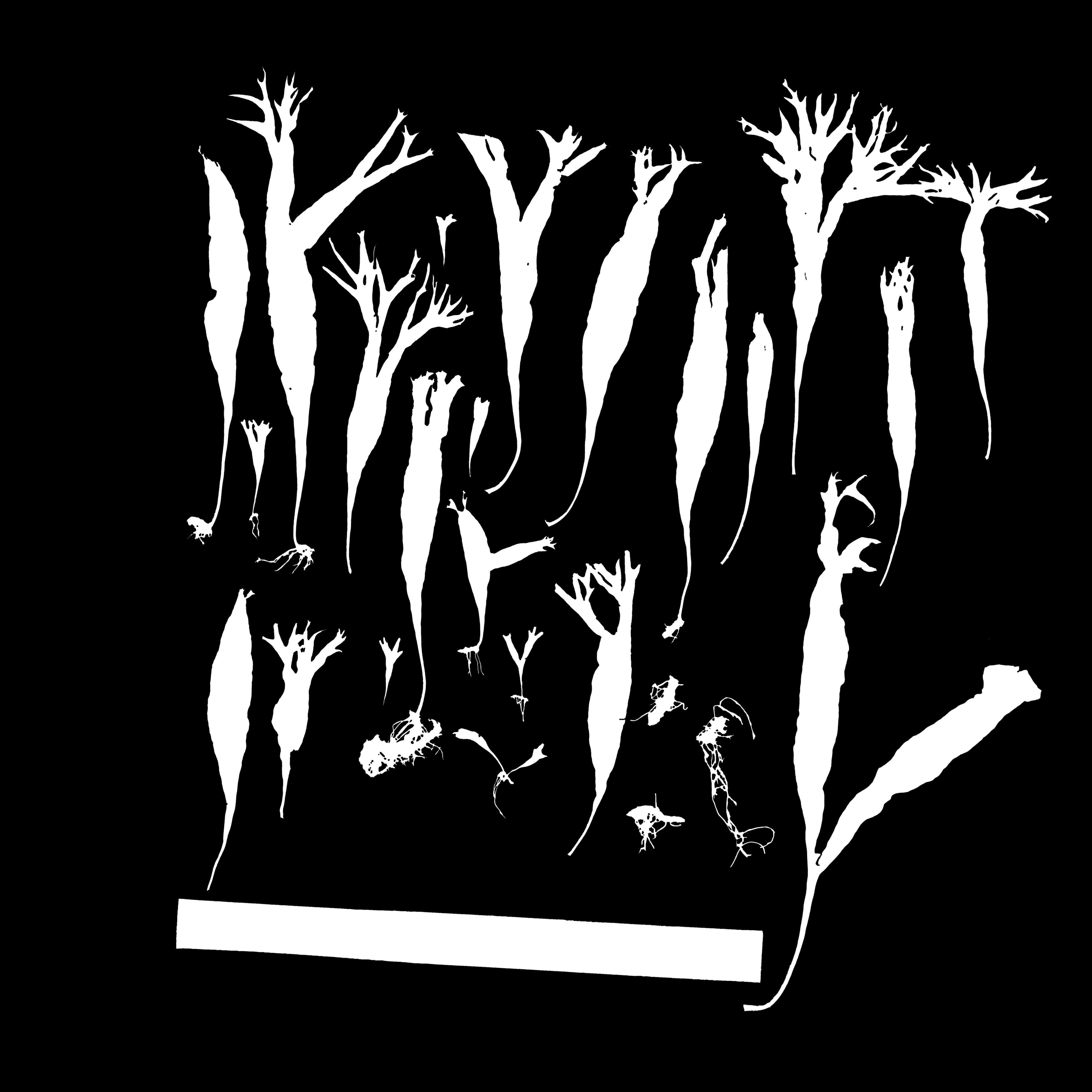 Maxtree pine tree Low-poly 3D model_11