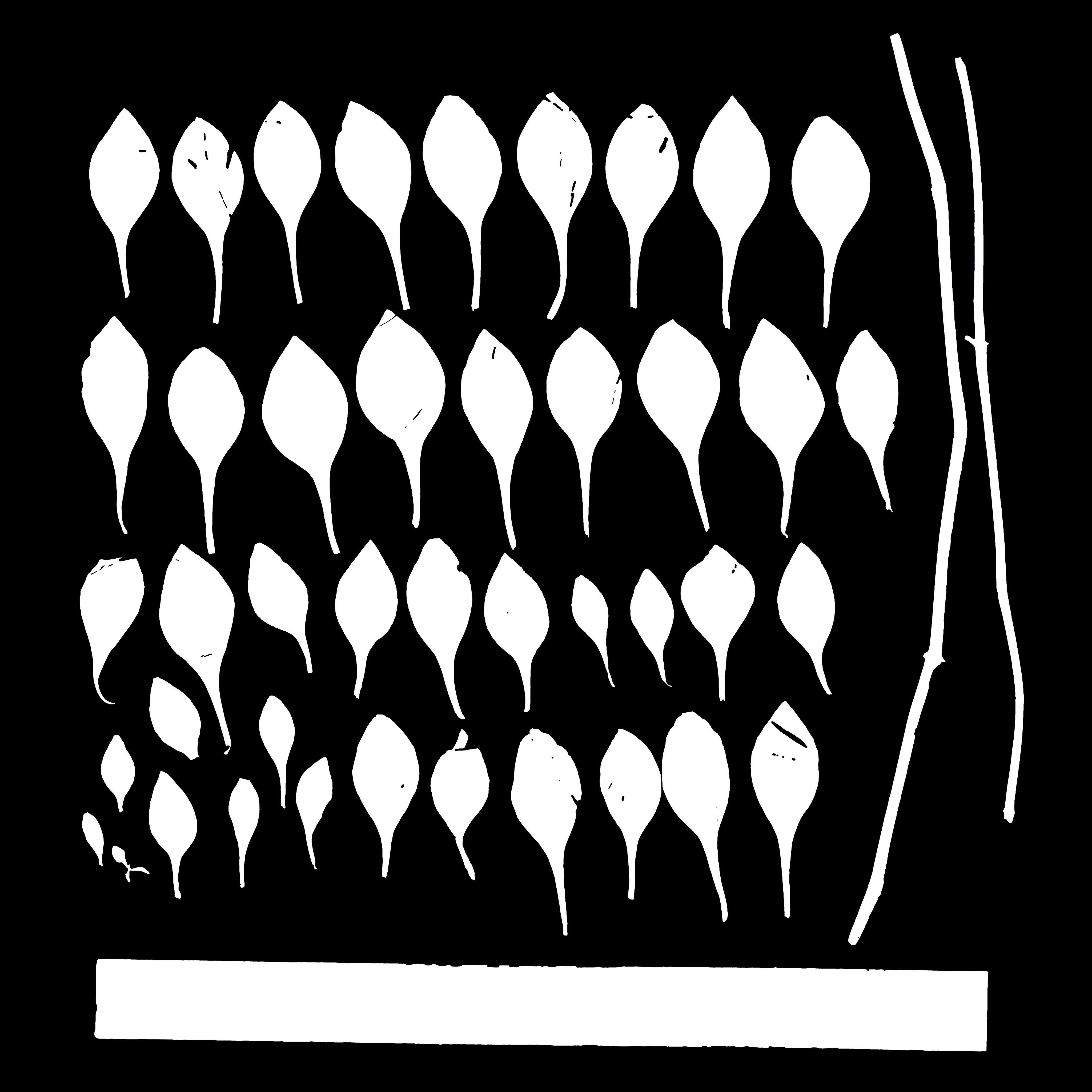 Maxtree pine tree Low-poly 3D model_61