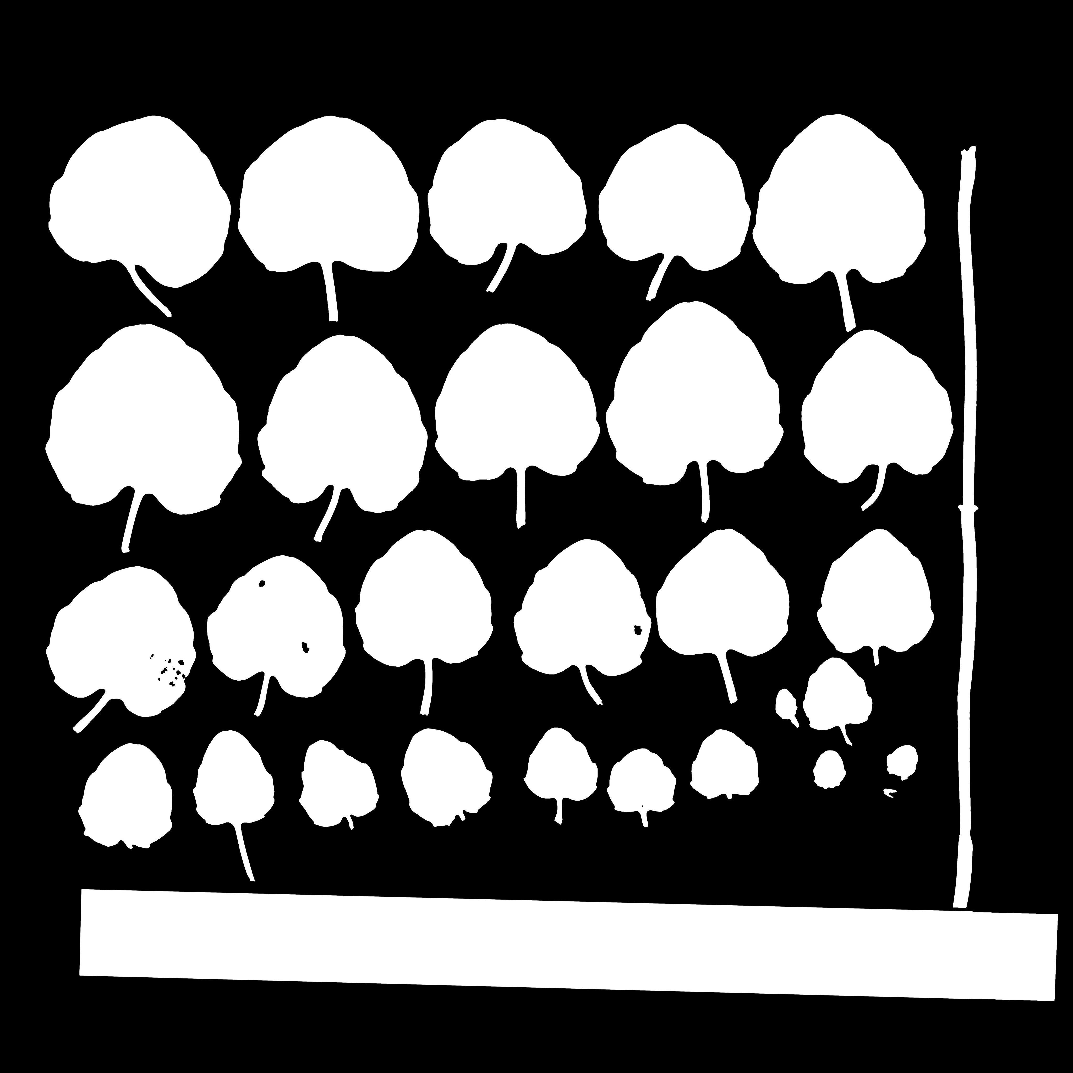 Maxtree pine tree Low-poly 3D model_31