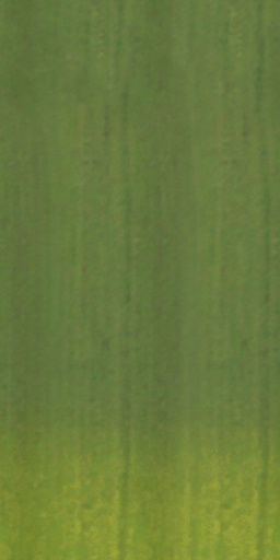 Maxtree pine tree Low-poly 3D model_45