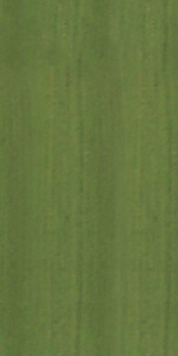 Maxtree pine tree Low-poly 3D model_36