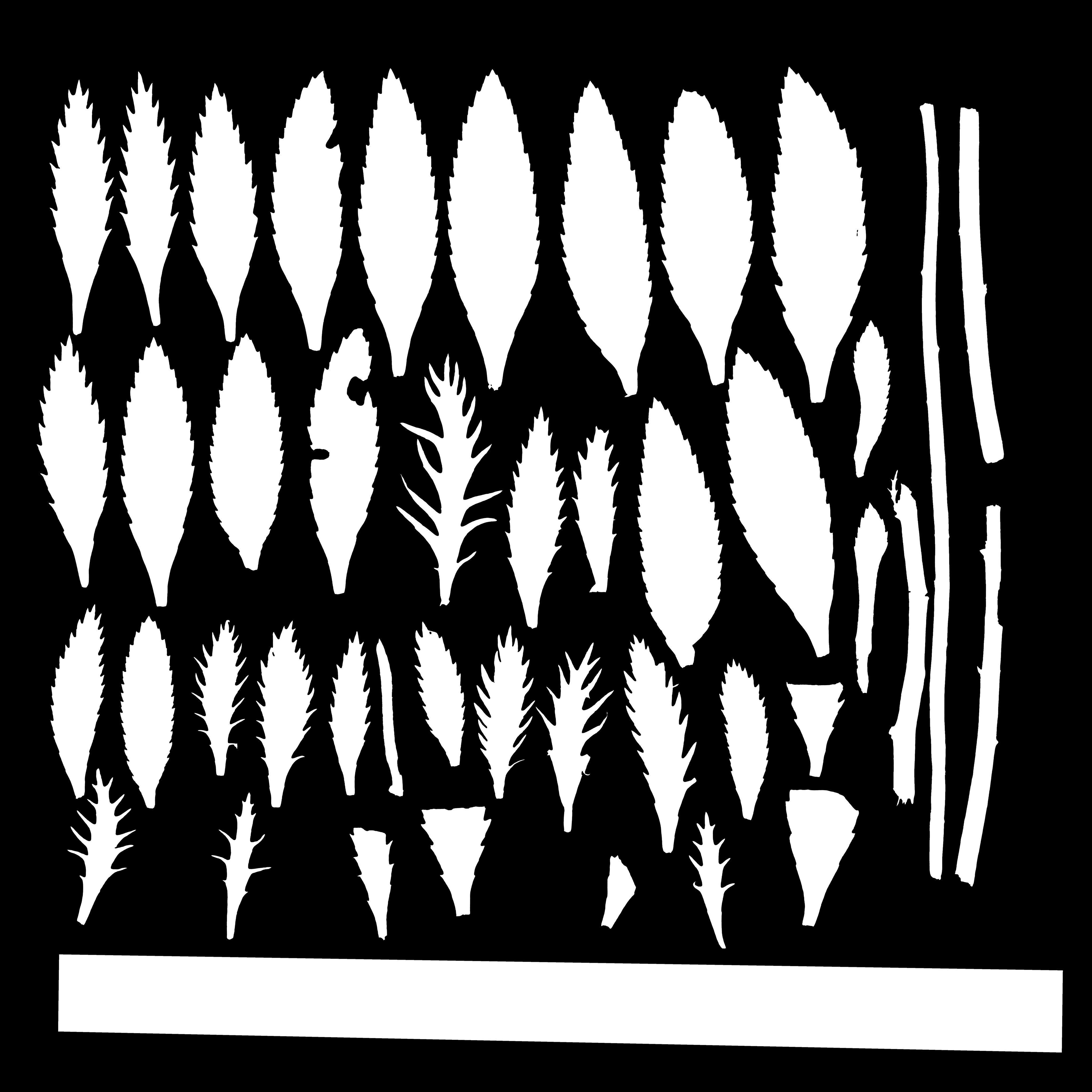 Maxtree pine tree Low-poly 3D model_68