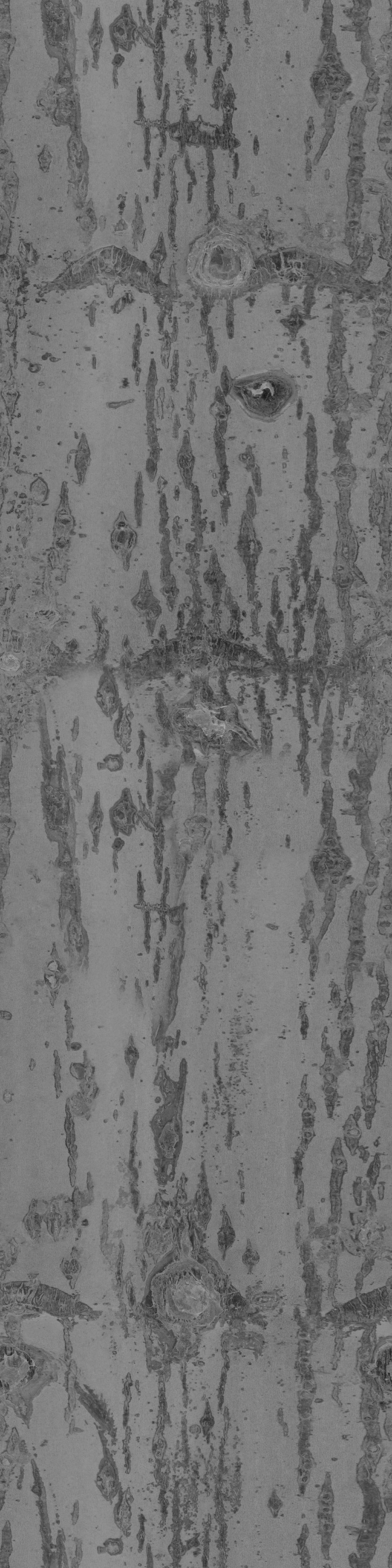 Maxtree pine tree Low-poly 3D model_49