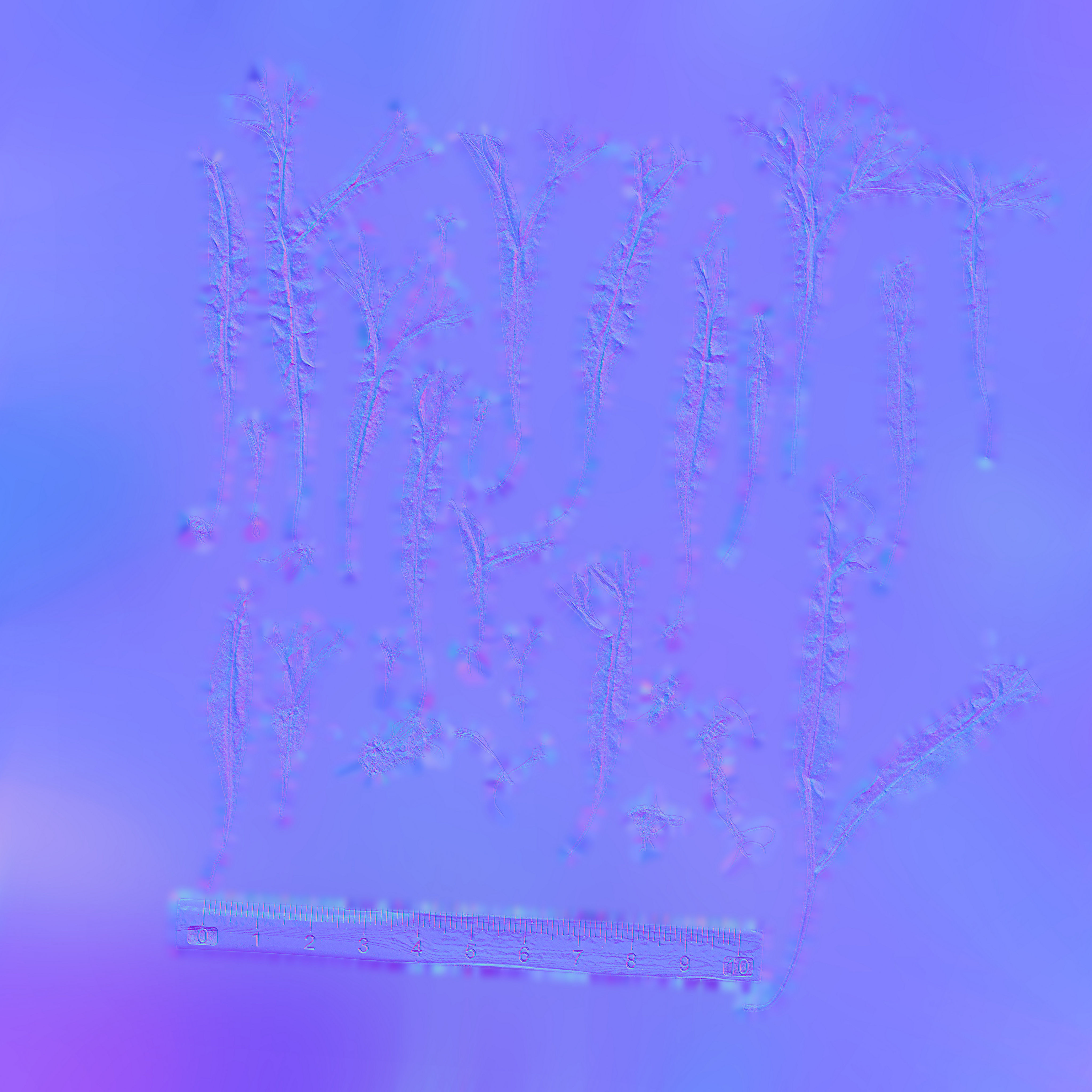 Maxtree pine tree Low-poly 3D model_98