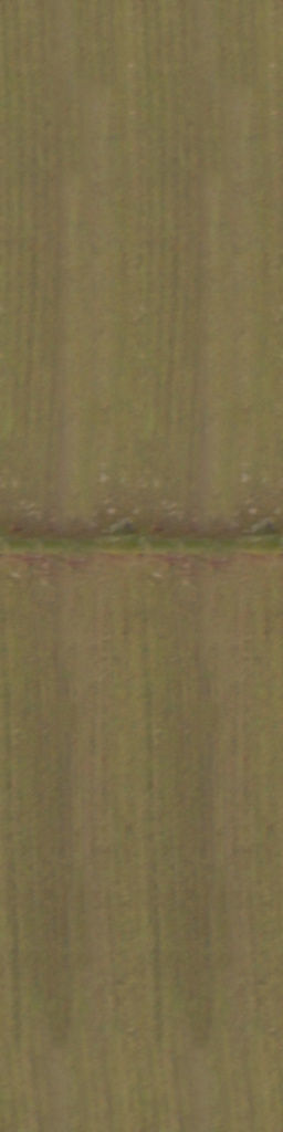 Maxtree pine tree Low-poly 3D model_59