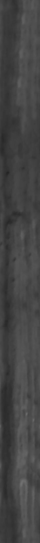 Maxtree pine tree Low-poly 3D model_33