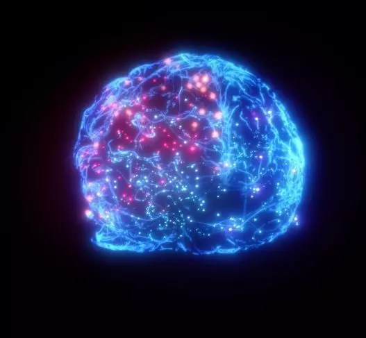 Brain - Neurons  3D model_0