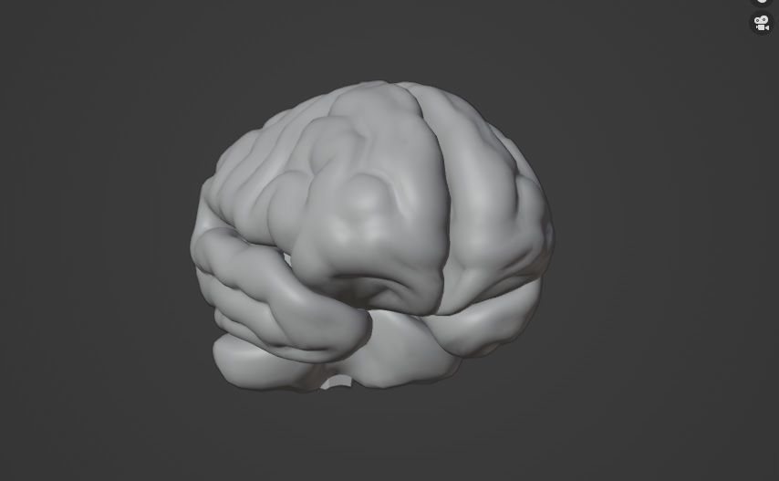 Brain - Neurons  3D model_2