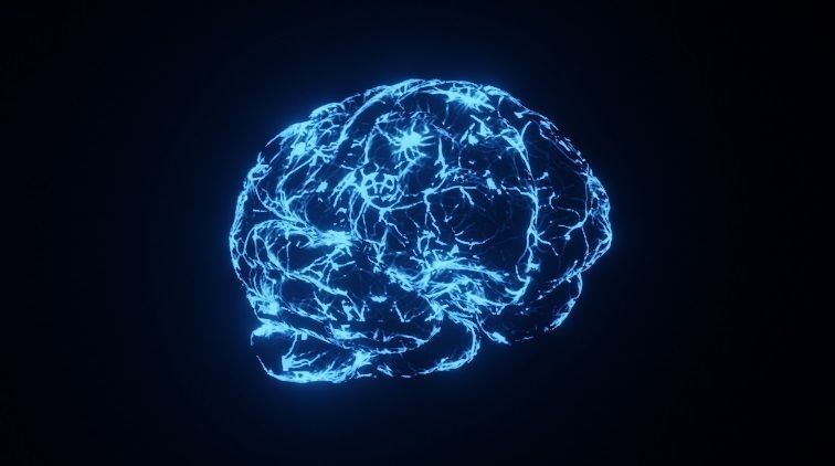 Brain - Neurons  3D model_3