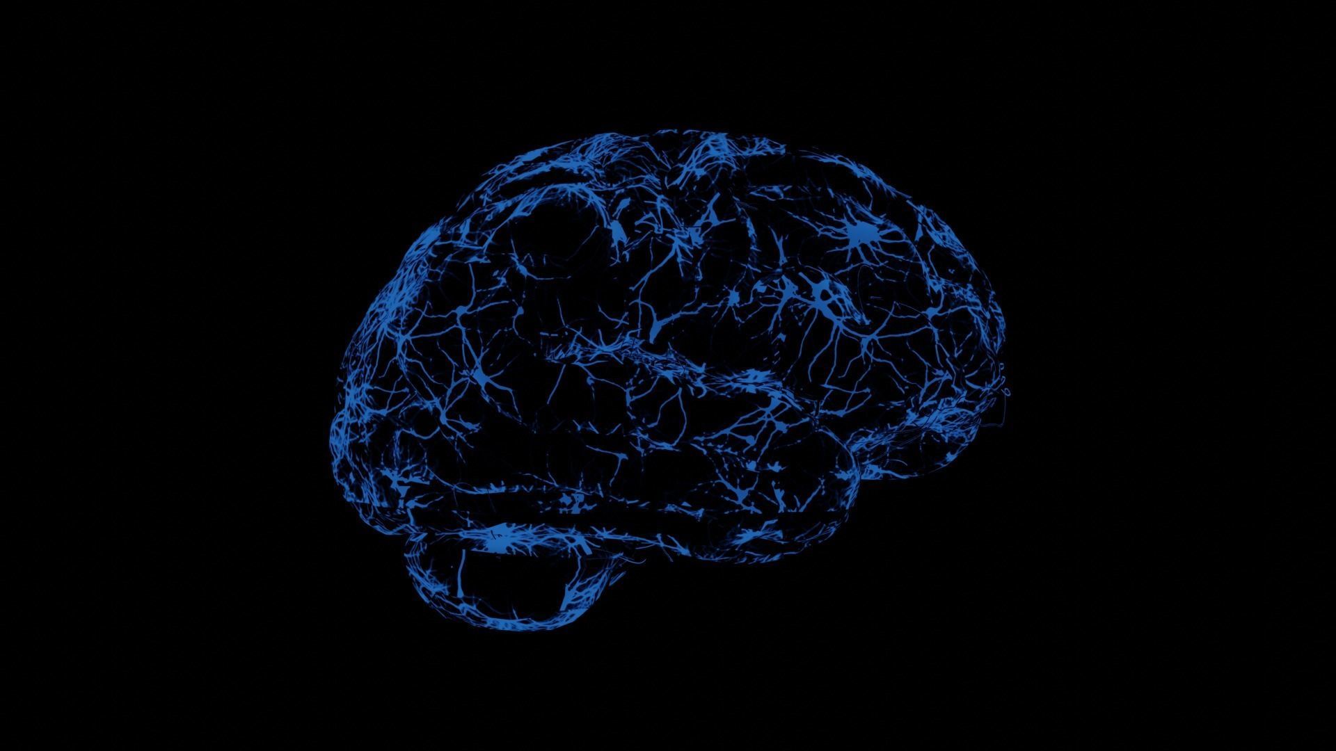 Brain - Neurons  3D model_4