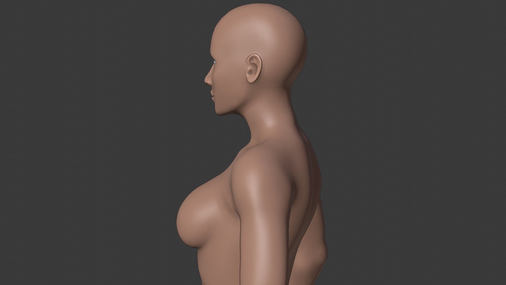 Female Base Mesh - Full Rig - Woman Girl Character Low-poly 3D model_21