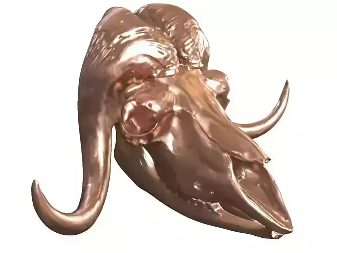 Cranium Charm Muskox