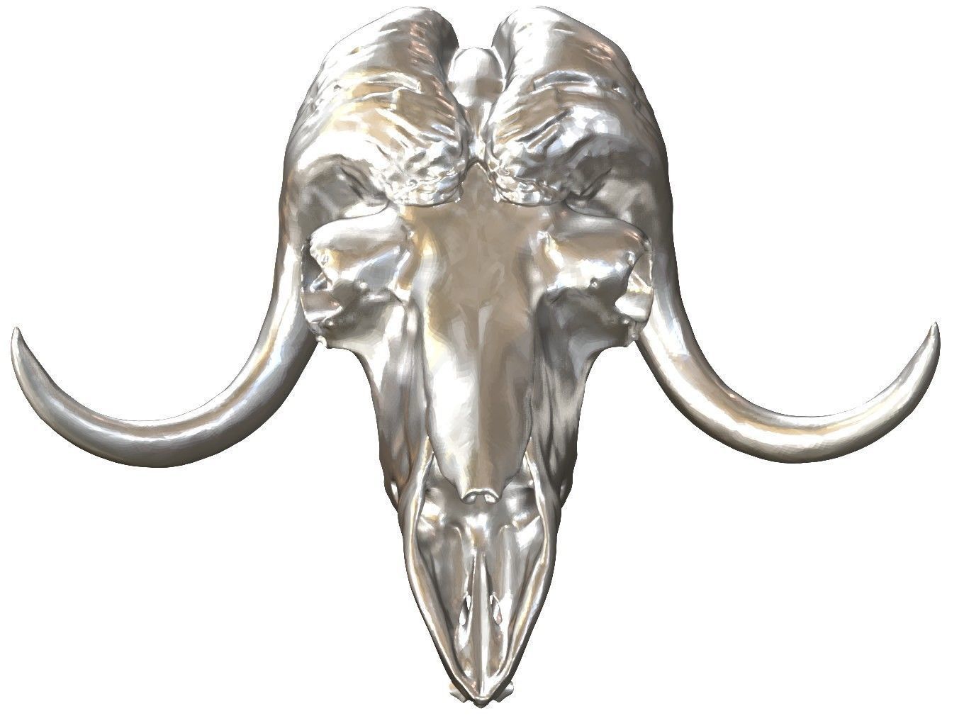 Cranium Charm Muskox Silver 3D print model_1